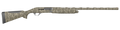 294552845.png
