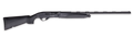 294552848.png