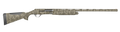 294552851.png