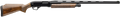 294552863.png