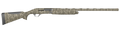 294552868.png