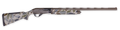 294552876.png