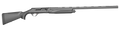 294552877.png