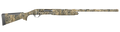 294552891.png