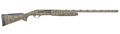 294552899.png
