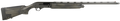 294552908.png