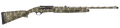 294552909.png