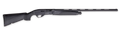 294552921.png