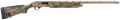 294552924.png