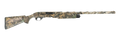 294552926.png