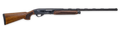 294552938.png
