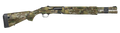 294552944.png