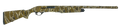 294552950.png