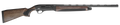 294552951.png