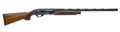 294552952.png
