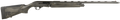 294552955.png