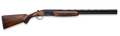 294552956.png