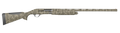 294552959.png