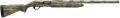 294552969.png