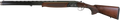 294552970.png