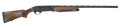 294552971.png