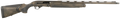 294552973.png
