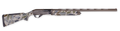 294552974.png