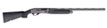 294552999.png
