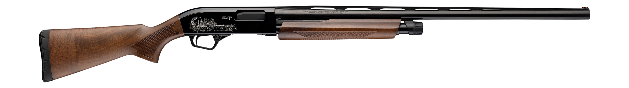 294553009.png