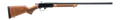 294553024.png