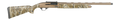 294553026.png