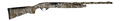 294553030.png