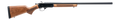 294553041.png