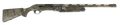 294553049.png