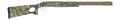 294553059.png