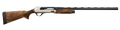 294553064.png