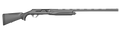 294553081.png