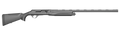 294553095.png