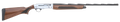 294553100.png