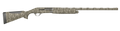 294553101.png