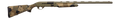 294553104.png