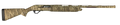 294553137.png