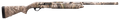 294553159.png