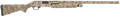 294553167.png