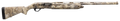 294553178.png