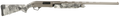 294553189.png