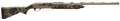294553193.png
