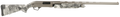 294553203.png
