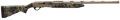294553204.png