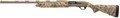 294553207.png